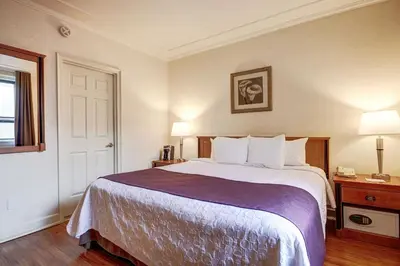 a hotel room with a large bed and a window at Hotel St-Denis in Montréal
