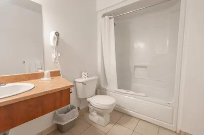 a bathroom with a toilet and a shower and a sink at Hotel les Suites Labelle in Montréal