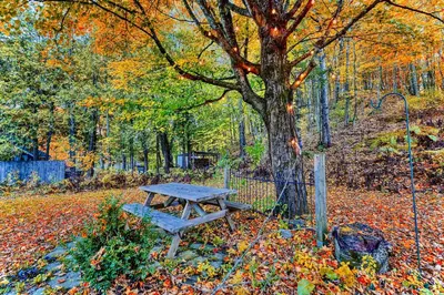 a picnic table sitting next to a tree in a park at Perfect Loft for a Weekend in the Eastern Townships in Ayer's Cliff