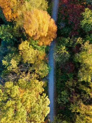 an aerial view of a road in the middle of a forest at Perfect Loft for a Weekend in the Eastern Townships in Ayer's Cliff