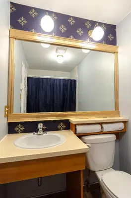 a bathroom with a sink and a mirror and a toilet at Hotel Dorion in Montréal