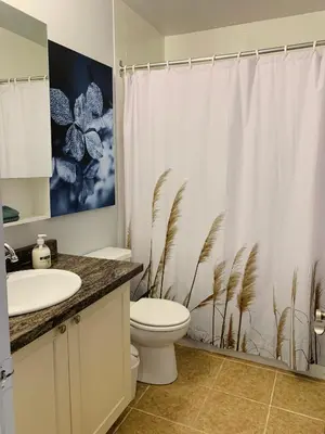a bathroom with a toilet and a shower curtain at Le Philémon Club Azur plage Memphrémagog in Magog-Orford