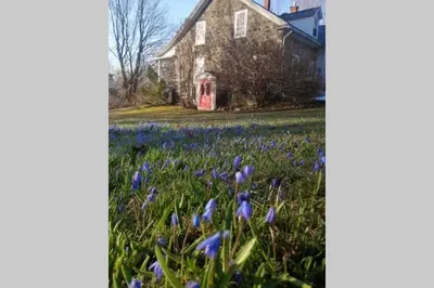 a field of purple flowers in front of a house at L'Alcôve des Céramistes in Waterloo
