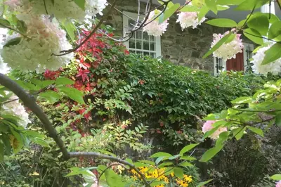 a garden of flowers in front of a house at L'Alcôve des Céramistes in Waterloo