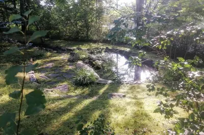 a small pond in the middle of a forest at L'Alcôve des Céramistes in Waterloo