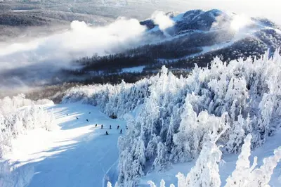 a group of people skiing down a snow covered slope at Magog Waterfront Studio 106 in Magog-Orford
