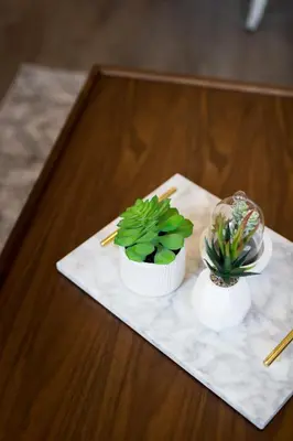 a table with two potted plants on top of it at Perfectly Located Mile End 2 Bdr Unit by Den Stays in Montréal