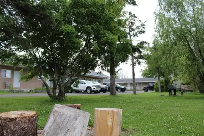 a group of logs sitting in a yard with trees at Le Marigot in Vaudreuil-Dorion