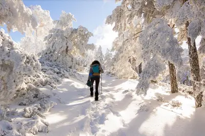 a woman walking down a snow covered path at Bel appartement A la croisée des sommets in Notre-Dame-Des-Bois
