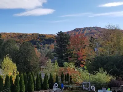 a view of a hill with fall foliage at Le 201 Champlain Bromont in Bromont
