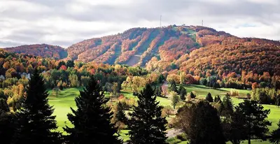 a mountain with a bunch of trees on it at Superbe condo - Navette de Ski Gratuite #202 in Bromont