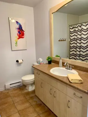 a bathroom with a sink and a toilet and a mirror at Condo Club Azur Plage Memphremagog in Magog-Orford