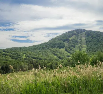 a view of a mountain with grass and trees at Condo Hotel Au pied du Mont Orford in Orford
