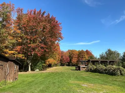an old truck parked in a field with trees at Capsule de Bonheur in Bromont
