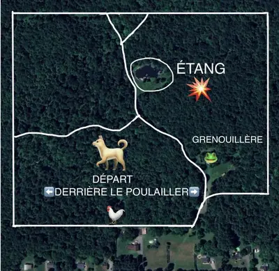 a drawing of a map with a dog and a star at Capsule de Bonheur in Bromont