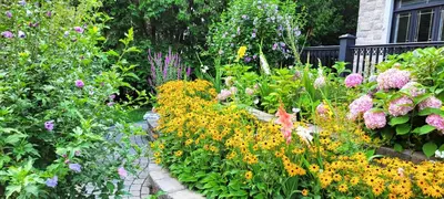 a garden with many different types of flowers at Lady Eden Waterfront Mansion - No party in Montréal