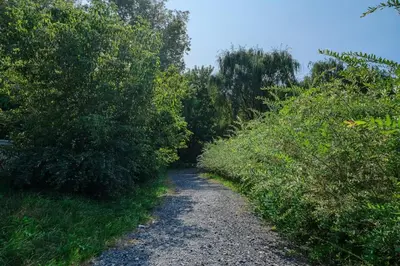 a dirt road with trees on both sides at Maison ancestrale complètement rénovée 4 chambres in Bromont
