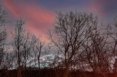 a group of trees with a cloudy sky in the background at 883 suite 102 Bromont Vieux Village 2cac , foyer in Bromont