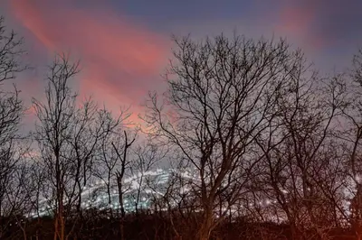 a group of trees with a cloudy sky in the background at 871 shefford suite 207 3chambres in Bromont