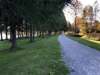 a tree lined path in a park with grass and trees at La cachette de la rivière au saumon et spa in Scotstown