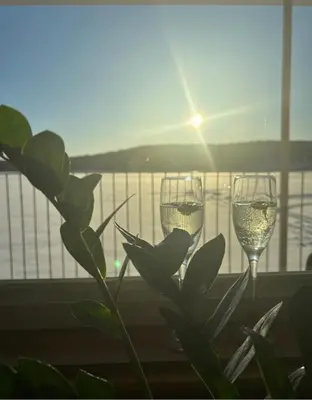 two glasses of wine on a balcony with a plant at Oasis in Ascot Corner
