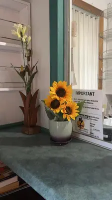 a vase filled with sunflowers sitting on a table at Motel Sainte Catherine in Sainte-Catherine