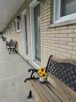 a bench with a vase with a sunflower on it at Motel Sainte Catherine in Sainte-Catherine