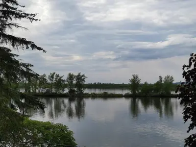 a view of a lake with trees in the water at Motel Sainte Catherine in Sainte-Catherine