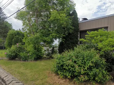 a group of bushes in a yard next to a building at Motel Sainte Catherine in Sainte-Catherine